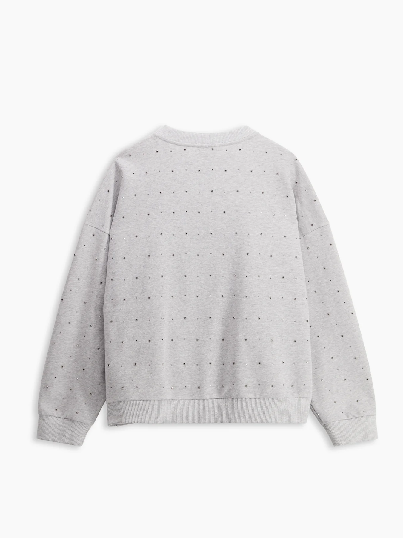 Brach Felpa Grigio Mel.chia. - Image 2
